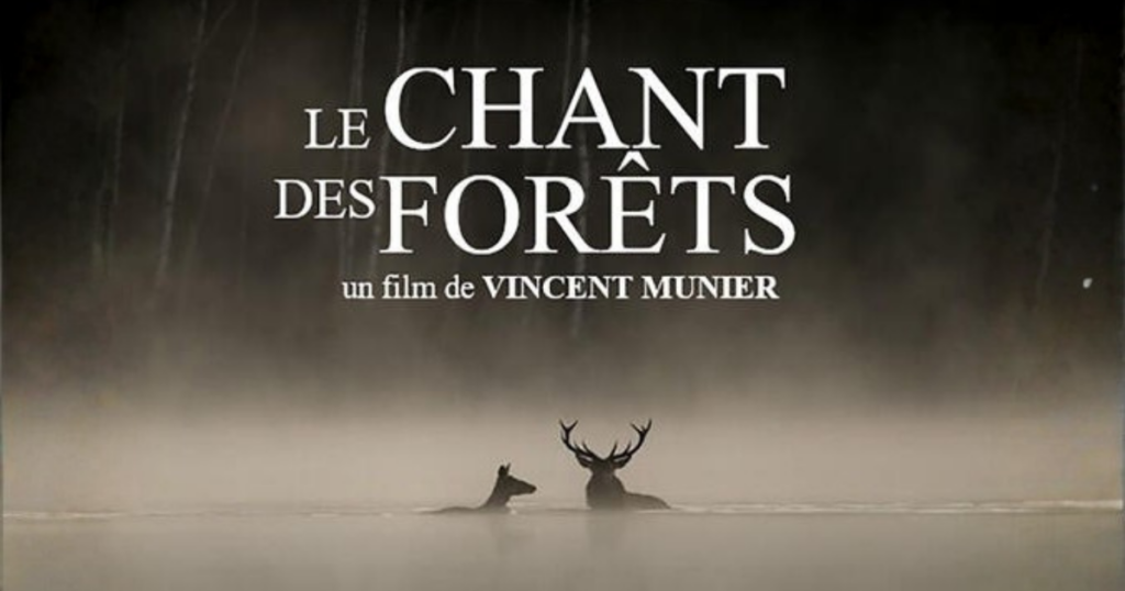 Tratto dalla locandina de "Le chant des forêts" di Vincent Munier