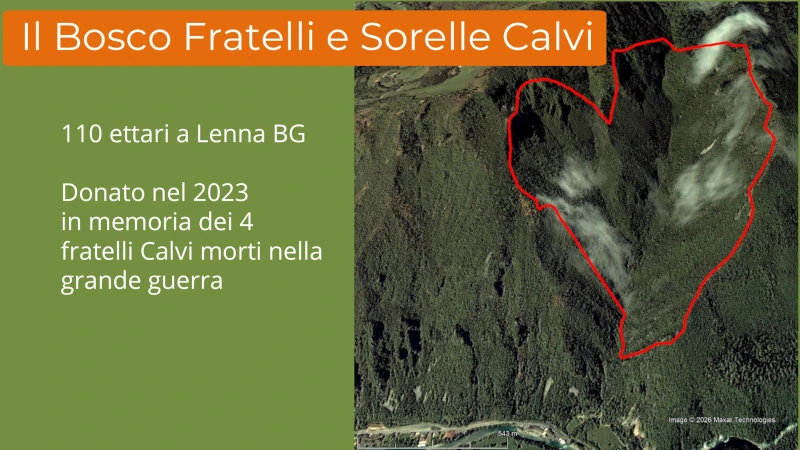 Diapositiva10
