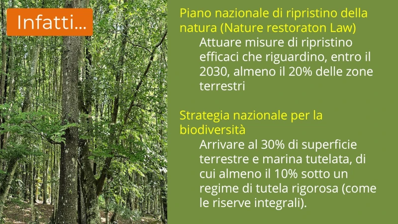 Diapositiva3