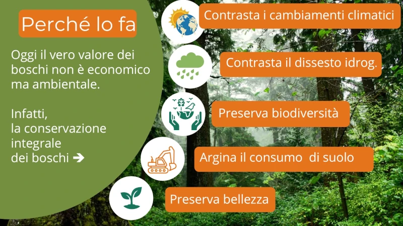 Diapositiva4