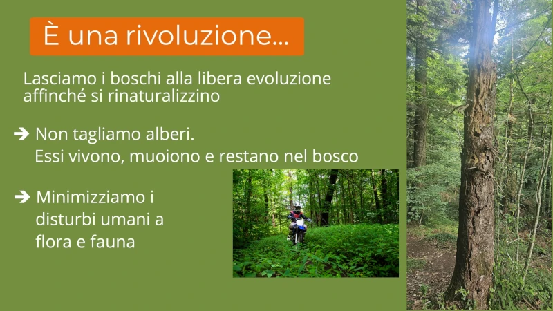 Diapositiva6