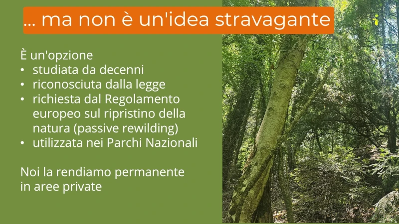 Diapositiva7